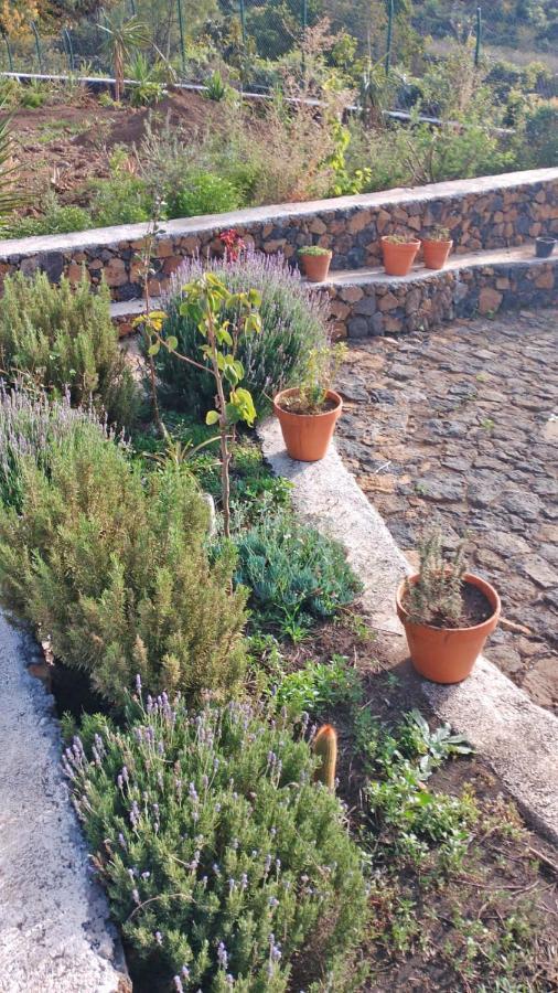 Finca Cosmos 엘파소 외부 사진